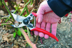 Felco Pruning Shears (F 11) - High Performance Swiss Made One-Hand Garden Pruner with Steel Blade