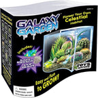 Toys By Nature Galaxy Garden, Wave Terrarium Kit with Live Cactus Plants, Succulents & Alien Egg Stone - Beginner-Friendly Terrariums and Live Indoor Plants Décor