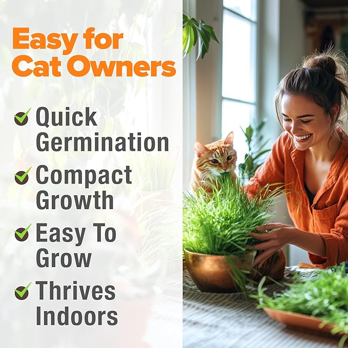 HOME GROWN Cat Grass Seeds 4 oz Oat & Barley Mix – Indoor Cat Grass Refill Kit – Digestive Green Grass for Pets – Heirloom Seeds for Cats’Health & Wellness (Dactylis glomerata)