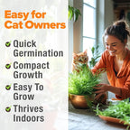 HOME GROWN Cat Grass Seeds 4 oz Oat & Barley Mix – Indoor Cat Grass Refill Kit – Digestive Green Grass for Pets – Heirloom Seeds for Cats’Health & Wellness (Dactylis glomerata)