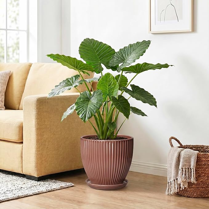 10 Inch Planter, Ceramic Flower Pot with Drainage Hole and Saucer, Round Indoor Plant Pots for Large Plants, Modern Decorative Planter, Home Kitchen Decor, Gifts for Men Women, Rust Red
