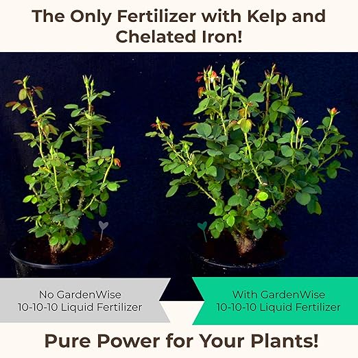 GARDENWISE 10-10-10 All Purpose Plant Food - Liquid Fertilizer with Seaweed Kelp & Iron - Indoor & Outdoor Plant Food, Vegetables, Flowers, Lawn & Garden 1x32oz