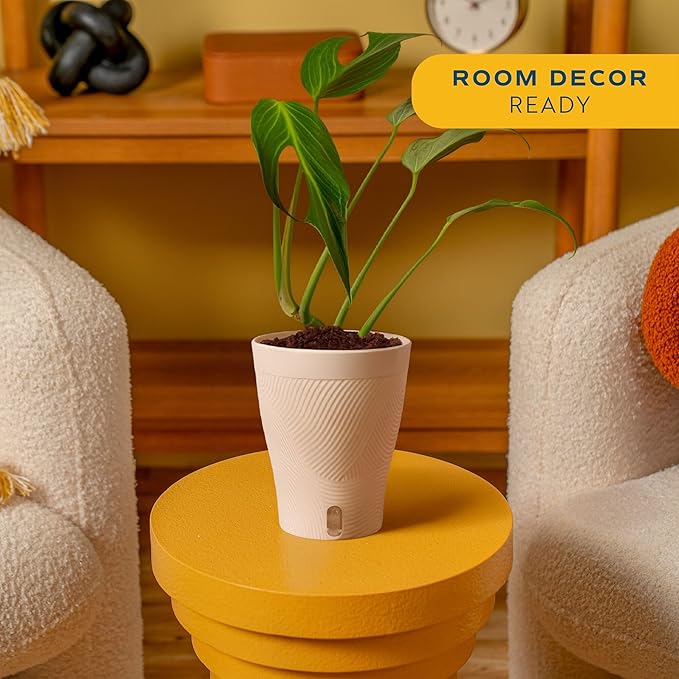 Costa Farms Monstera Burle Marx Flame, Live Plant in Self Watering Pot, Air Purifying Indoor Houseplant, Home, Room, or Office Decor, House Warming or Birthday Gift, 12-18 Inches Tall