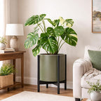 D'vine Dev Planter Pot with Stand - 14 Inch Plastic Cylinder Flower Pot with Wood Planter Holder for Indoor, Olive Pot + Ebony Stand, 55-C-T-3