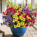 17 Inch Artificial Faux Pansy Flowers for Outdoor,Fake Pansies Flowers with Eucalyptus Leaves Fake Plants Greenery Boxwood Porch Patio Decor 6 Bundles(Light Purple,Dark Rose,Yellow)