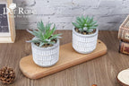 Der Rose Set of 2 Succulents Plants Artificial Fake Cactus Plants for Living Room Bathroom Bedroom Aesthetic Home Shelf Decor