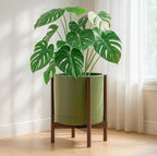 D'vine Dev Ceramic Planter with Walnut Color Stand - 14 Inch Modern Round Flower Pot with Wood Planter Holder, Olive, 55-B-T-J