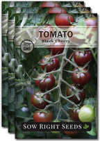 Sow Right Seeds - Black Cherry Tomato Seeds for Planting - Non-GMO Heirloom Packet with Instructions to Plant a Home Vegetable Garden - Tasty Snacking Variety, Start Indoors - Indeterminate (3)