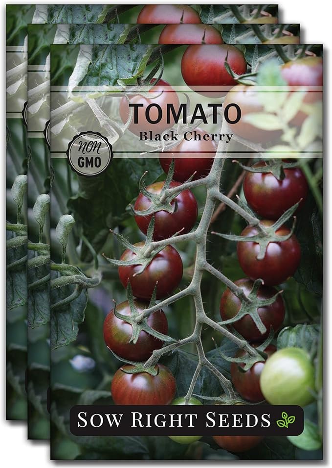 Sow Right Seeds - Black Cherry Tomato Seeds for Planting - Non-GMO Heirloom Packet with Instructions to Plant a Home Vegetable Garden - Tasty Snacking Variety, Start Indoors - Indeterminate (3)