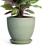 Ceramic Plant Pots, 6 Inch Ceramic Pots for Herb Snake Plants, Indoor Small Flower Pot with Drainage Hole and Saucer, Modern Round Planter, Room Office House Decor, Gardening Gifts, Green