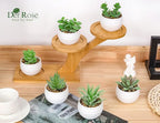 Der Rose 9 Pack Fake Plants Small Realistic Succulents Plants Artificial for Home Room Decor Indoor