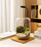 Terrarium Kit with Grow Light – 24-Piece DIY Glass Terrarium Set with Tools, Moss, Driftwood, Soil & Pebbles – Mini Gardening Kit for Air Plants, Succulents & Indoor Desk Decoration Gift