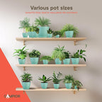 Planter Pots with Drainage Holes - Lightweight, Durable, and Space-Saving Pots for Indoor and Outdoor - Versatile Functionality, Simple Modern Design, Set of 10 Plastic Planter Pots - Aqua
