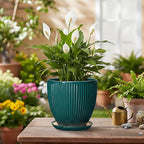 Ceramic Flower Pots, 6 Inch Planters with Drainage Hole and Saucer, Decorative Round Plant Pots for Indoor Plants, Modern Succulent Pot, Office Bedroom Decor, Plant Lover Gifts, Blackish Green