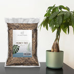 Money Tree Soil (4 Quarts), Potting Mix for Planting/Repotting Pachira Aquatica, All-Natural Custom Soil Blend