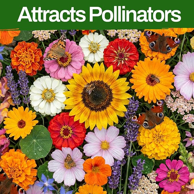 10 Varieties Flower Seeds in Individual Packs, 66,600+ Non-GMO Seeds Indoor Outdoor, Includes Zinnia Lavender Sunflower Marigold Cosmos Nasturtium Snapdragon Borage Yarrow Calendula, Wildflower Seeds
