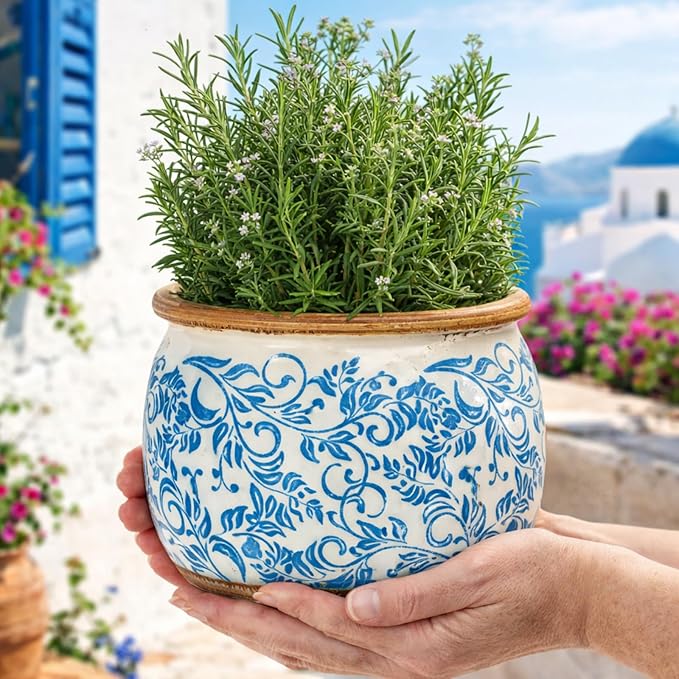 Vintage Ceramic Flower Pot - Indoor Outdoor Planters with Drainage Holes & Filter Screen, 6.5’’ Small Rustic Farmhouse Decorative Plant Pots for Garden/Patio/Balcony (Blue Vines, Small)