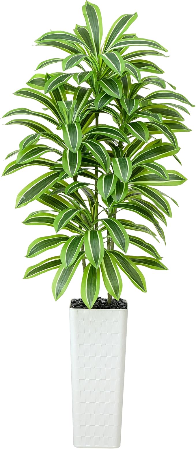Artificial Dracaena Tree：7FT Faux Silk Tropical Yucca Floor Trees Realistic Fake Green Plant with Natural Wood Trunk & Lifelike Leaves for Home Office Decor Indoor & Outdoor (7FT,1-Pack,White)