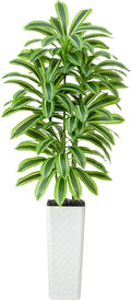 Artificial Dracaena Tree：7FT Faux Silk Tropical Yucca Floor Trees Realistic Fake Green Plant with Natural Wood Trunk & Lifelike Leaves for Home Office Decor Indoor & Outdoor (7FT,1-Pack,White)