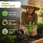 KVITER 600 Flat Leaf Italian Parsley Seeds (Petroselinum crispum) - Flavorful Classic Flat Leaf Parsley Seed Packets - Non GMO & Heirloom Seeds for Planting in Kitchen Herb Garden, Containers & Beds
