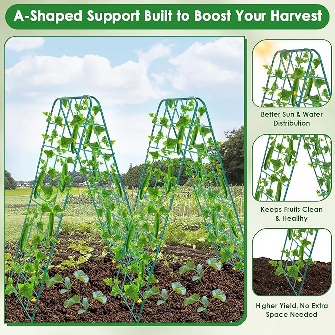 2 Pack 50"x17" Heavy Duty Metal Cucumber Trellis for Raised Bed, A Frame Garden Trellis for Climbing Plants Outdoor, Plant Trellis for Tomato Bean Pea Grape, Adjustable Vegetable Trellis Support