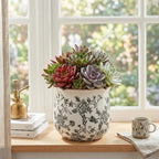 DREAMLOOM Vintage Ceramic Planter for Indoor Plants,6.1" Ice Crack Cottage Scroll Vase Tuscan Decor Flower Pots with Drainage Holes Home Kitchen Farmhouse Antique Decorative Gift (Grey-Corrugated)