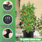 3 Sets Tomato Cages with 10-Gallon Sturdy Grow Bags, 48.5" Planter Support Trellis Pots Kit for Garden, Flowers Vegetable Cages for Cucumbers Eggplants Vertical Climbing Plants Vines