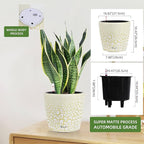 Dexceder 11x10 Self Watering Planter (White Gold Crackle) | Inner Pot Design, Thickened Table Flower Plant Pot with Water Level Indicator Indoor Outdoor