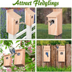 Dreyoo 2 Pack Bluebird Box Houses for Outside,1-1/2'' Entrance Hole Wooden Bird Houses with Metal Guard, Secure Latch,Fledgling Grooves,Air Vents for Bluebird Wren Swallow(Wood)