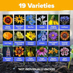 HOME GROWN 32,500+ Midwest Wildflower Seeds 2oz 15 Varieties – Annual & Perennial Flower Seeds for Attracting Bees & Butterflies – Open Pollinated