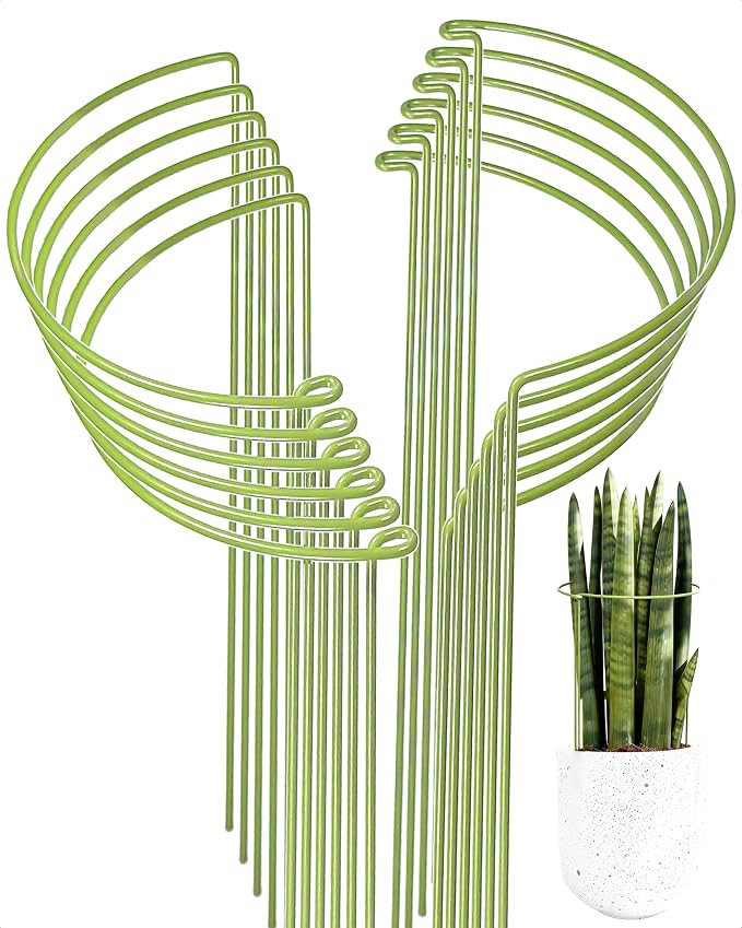 12-Pack Plant Support Stakes, Steel Stakes for Indoor Plants, Monstera & Peony Support, Tall Plant Sticks for Snake Plant, Climbing Vines, Metal Garden Stakes (10" W x 15.8" H)