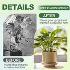 32pcs Upgraded Plant Stem Support, Transparent Plant Support for Indoor Plants, Reusable Climbing Houseplant Stem Holders, Plant Stabilizer, 4 Sizes Plants Accessories