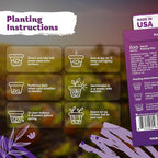 KVITER 600 Marsh Blazing Star Seeds for Planting (Liatris Spicata) – Gayfeather Dense Meadow Blazing Star Seed Packet – Heirloom Seed, Perennial Wildflower Seeds Bulk for Garden, Containers, Outdoors