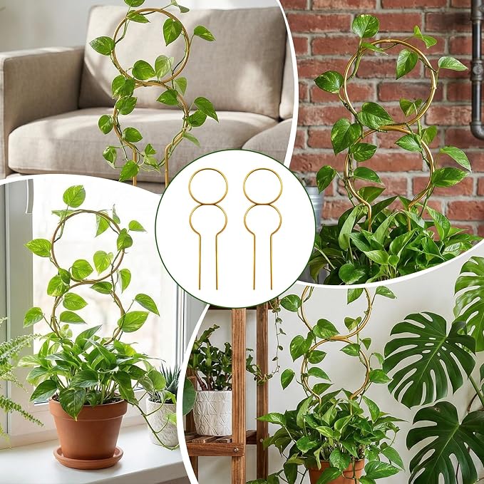 Nogeqi 2 Pcs Plant Support for Climbing, Metal Plant Trellis Indoor, 12 Inch Small Plant Stakes for Indoor Plants, Trellis for Climbing Plants Garden Potted (Gold)