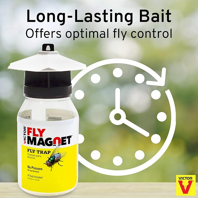 Terro T380 Outdoor Reusable Fly Magnet Fly Trap - Poison Free Trap with Bait (Pack of 2)