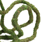 USMOLA Moss Vine for Reptiles, Bendable Climbing Vines Reptile Tank Accessories, Natural Moss Rope for Leopard Gecko, Lizard, Snake, Chameleon, Frog Terrarium Decor (Jungle Green, 9.8 FT)
