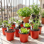 100 Pack 4 Inch Plastic Nursery Pots, Seed Starter Pots with Drainage Holes, Small Plant Containers for Seedlings, Seed Starting Flower Pots with 100 Plant Labels