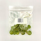 Amazon Frogbit, Limnobium laevigatum, Live Aquarium/Aquatic/Freshwater/Floating/Pond Plant/Planted Tank/Aquascaping/Paludarium by Aquarium Plant Center (6 Plants (18+ Leaves))