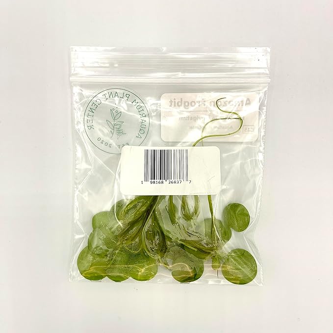 Amazon Frogbit, Limnobium laevigatum, Live Aquarium/Aquatic/Freshwater/Floating/Pond Plant/Planted Tank/Aquascaping/Paludarium by Aquarium Plant Center (6 Plants (18+ Leaves))
