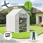 Greenhouse for Outdoors, Small Greenhouse, Walk-in Greenhouses with 3 Tiers 8 Shelves, PE Cover, Heavy Duty Plant Greenhouses for Garden and Backyard