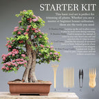 BambooMN Bonsai Tree Pruning Trimming Starter Tool Kit - Leaf Trimmers, and Bamboo Rake - 30 Sets