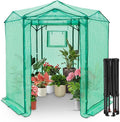 EAGLE PEAK 6.6x6.6 Portable Walk in Greenhouse, Pop Up Indoor Outdoor Greenhouse, Green House Kit with Zippered Roll-Up Doors and Windows, Hexagon Design, PE Cover, Clear/Green