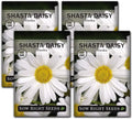 Sow Right Seeds - Shasta Daisy Seeds for Planting - Perennial Shasta Alaska Daisies - Non-GMO Heirloom Variety - Ideal for Outdoor Gardens - Easy to Grow - Drought Tolerant - Attracts Pollinators (4)