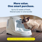 PetSafe Drinkwell Platinum Cat Water Fountain - Pet Fountain for All Pet Sizes, Encourages More Drinking, Includes Extra 3-Pack Replacement Carbon Filters, Indoor Use, Grey (168 oz/5L)
