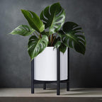 D'vine Dev Planter Pot with Stand - 12 Inch Plastic Cylinder Flower Pot with Wood Planter Holder for Indoor, Matte White Pot + Ebony Stand, 55-C-Q-1