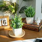 Der Rose 2 Pack Small Fake Plants Mini Artificial Potted Plants for Table Desk Home Laundry Room Bathroom Office Decor