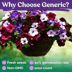 Night Sky Petunia Seeds for Planting,1000+ Mixed Rare Starry Sky Ipomoea Flower Seeds, Trailing Plant, Heirloom Non-GMO Petunia Seed for Home Garden
