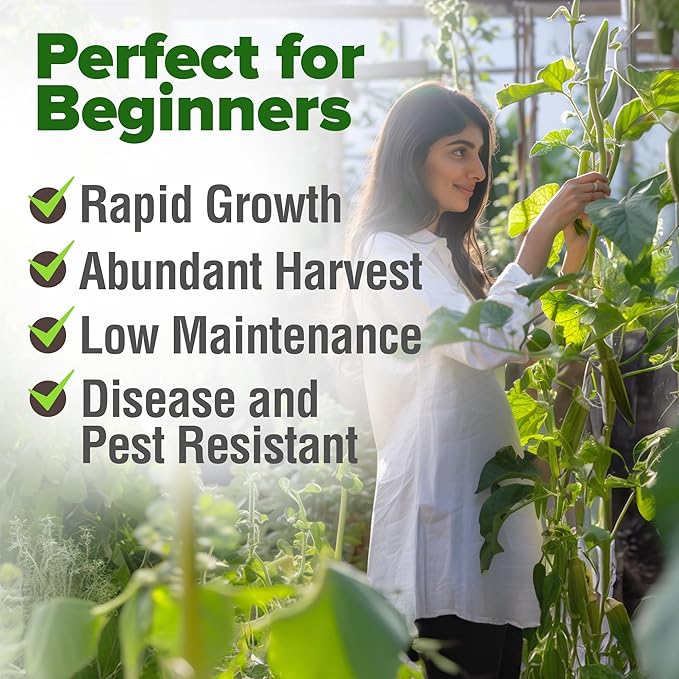 HOME GROWN Clemson Spineless Okra Seeds 101+ Heirloom Non-GMO Vegetable Seeds for Planting, Easy to Grow Summer Garden, High Germination, Heat Tolerant, Tender Green Pods (Abelmoschus esculentus)