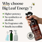 Neem Oil Spray for Plants – Big Leaf Energy, with Essential Oils – Ready-to-Use Plant Spray for Outdoor & Indoor Plants, Made in USA (16 fl oz)