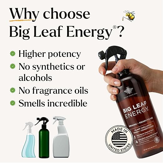 Neem Oil Spray for Plants – Big Leaf Energy, with Essential Oils – Ready-to-Use Plant Spray for Outdoor & Indoor Plants, Made in USA (16 fl oz)